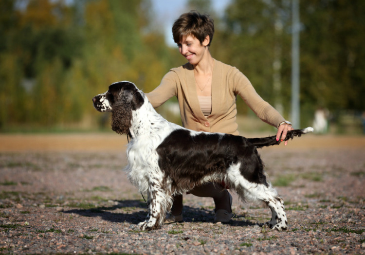 194947-1e9ec-90456369-m750x740-ucb11f.jp