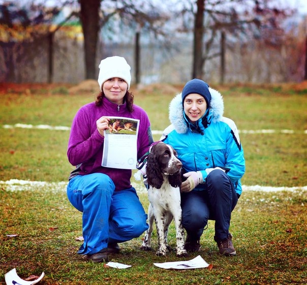 194947-4b9a0-90854352-m750x740-u428d6.jp