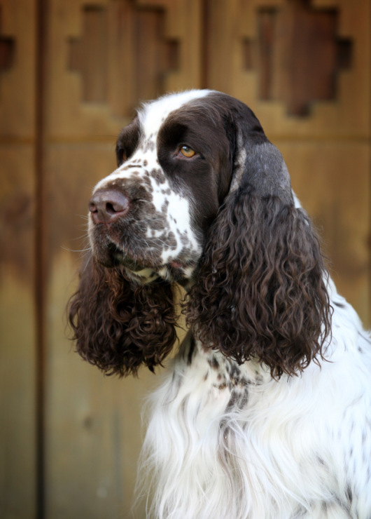 194947-92d17-90456354-m750x740-u08b2b.jp