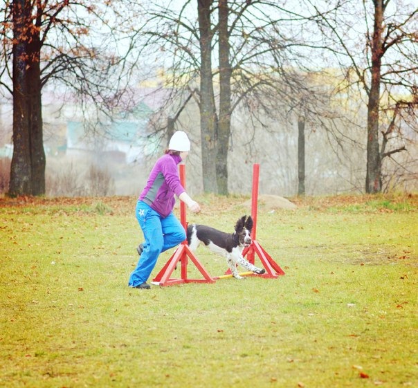 194947-bfa17-90854358-m750x740-u2cdc2.jp