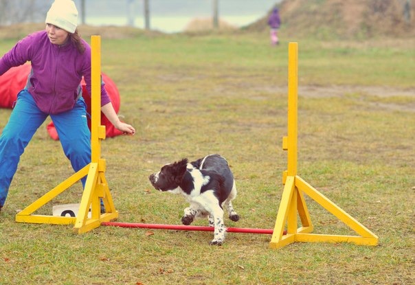 194947-dbd84-90854354-m750x740-u73efa.jp