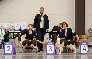 194947-f023d-121825073-h200-u90ba5.jpg